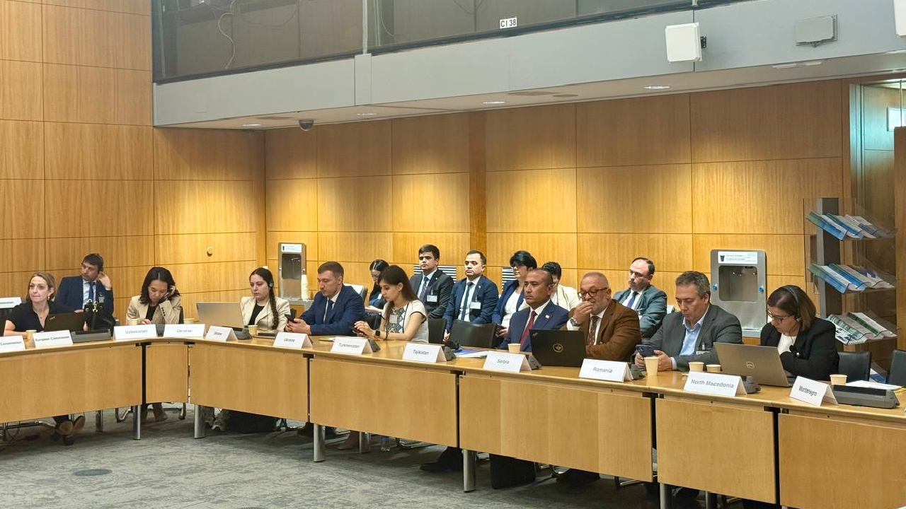 Participation of the Agency's Official Delegation in the Plenary Session of the Anti-Co...