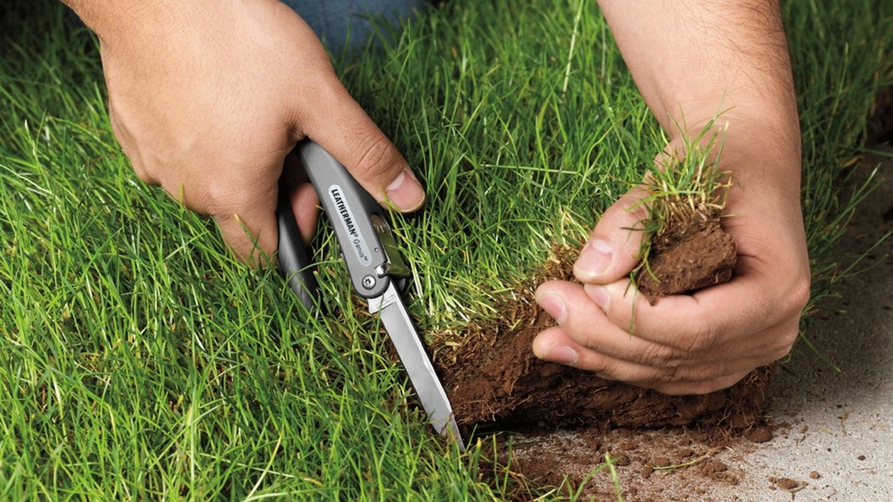 Ошкори ҳолати қаллобии раиси Ҷамоати деҳоти Хоҷамуъмини ноҳияи М.С.А.Ҳамадонӣ