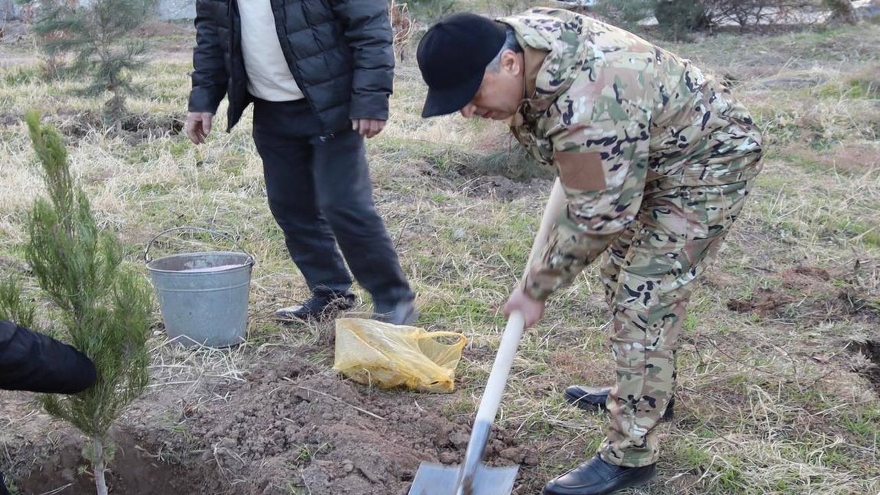 Баргузории маъракаи ниҳолшинонӣ дар шаҳри Душанбе