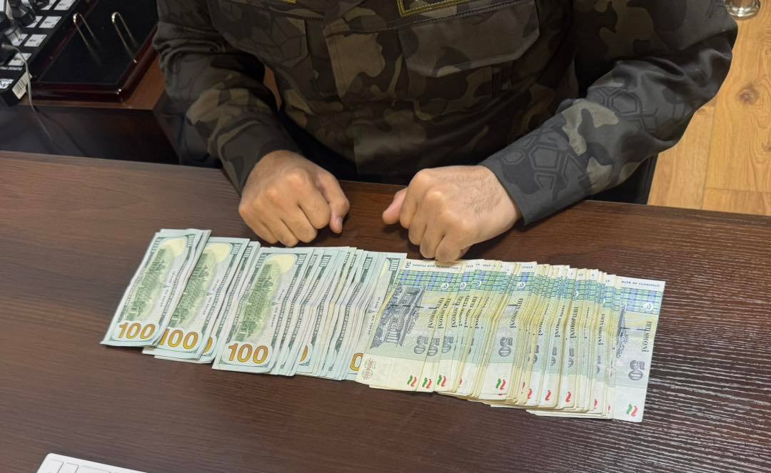 Ошкори ҳолати қаллобии кормандони мақомоти ҳифзи ҳуқуқ