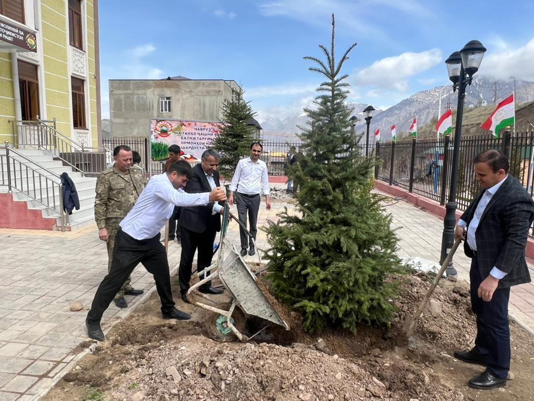 Проведение акции по посадке саженцев в городе Рогун