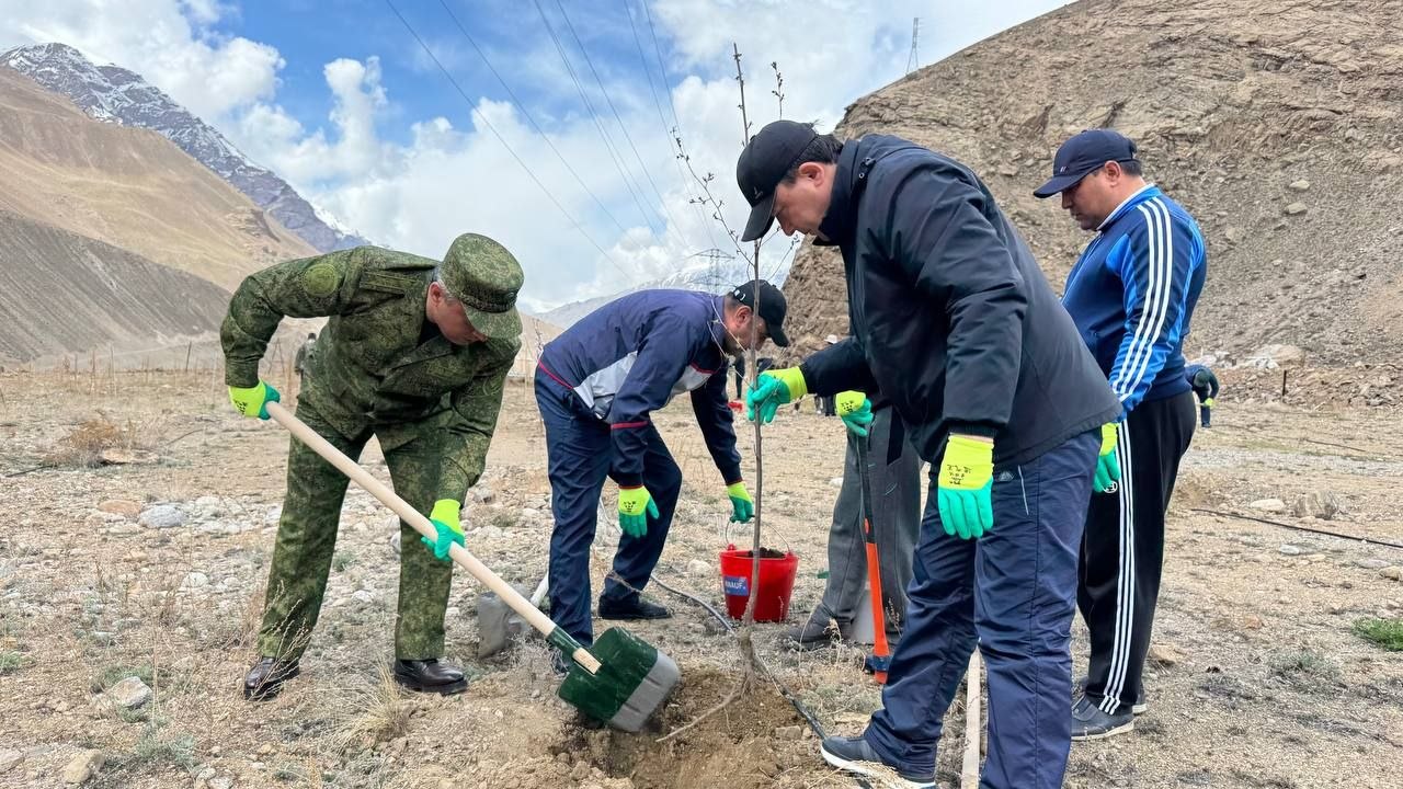 Проведение мероприятия по посадке деревьев в Шугнанском районе Горно-Бадахшанской автон...